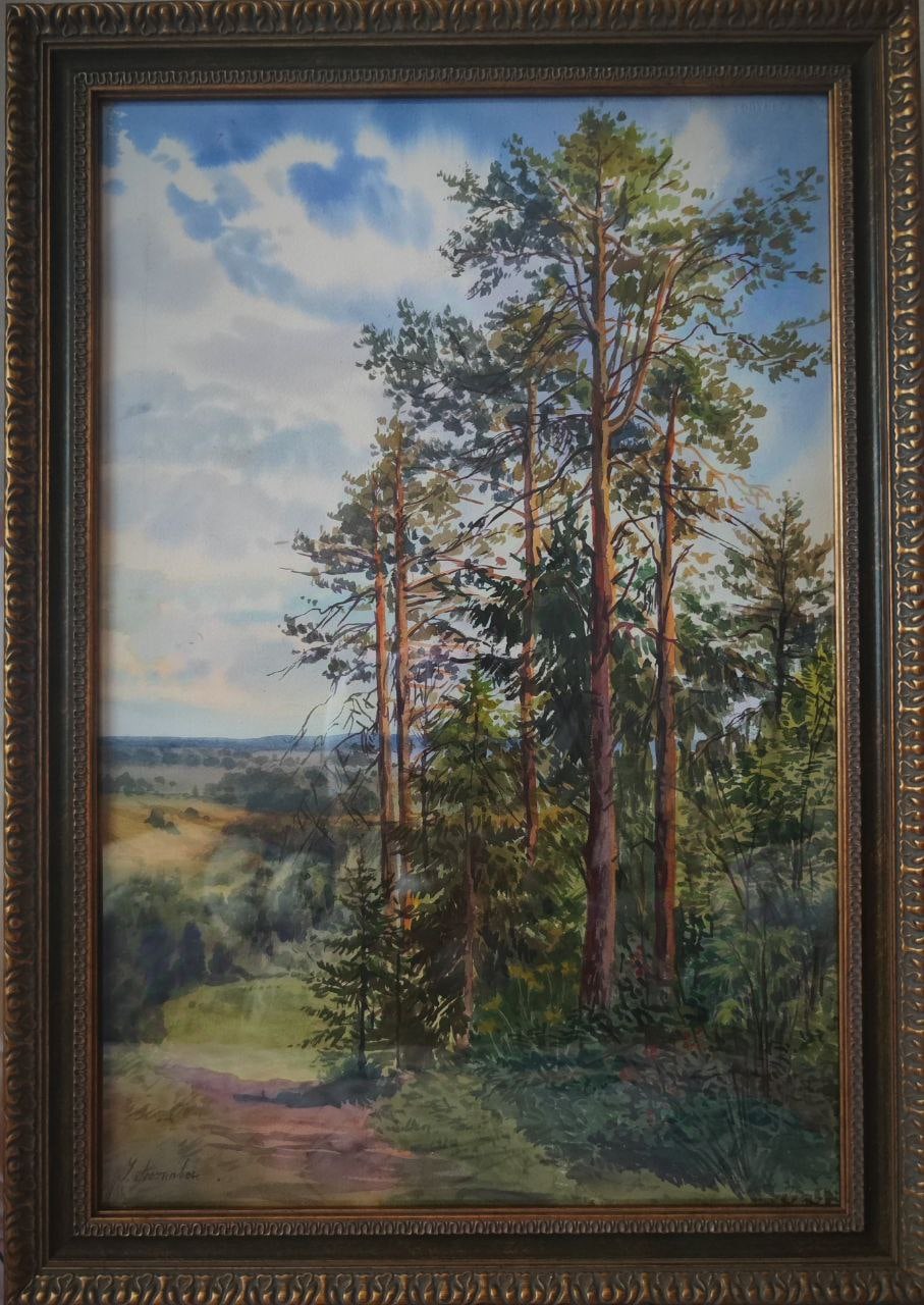 «Сосны». Ульяна Пестова.